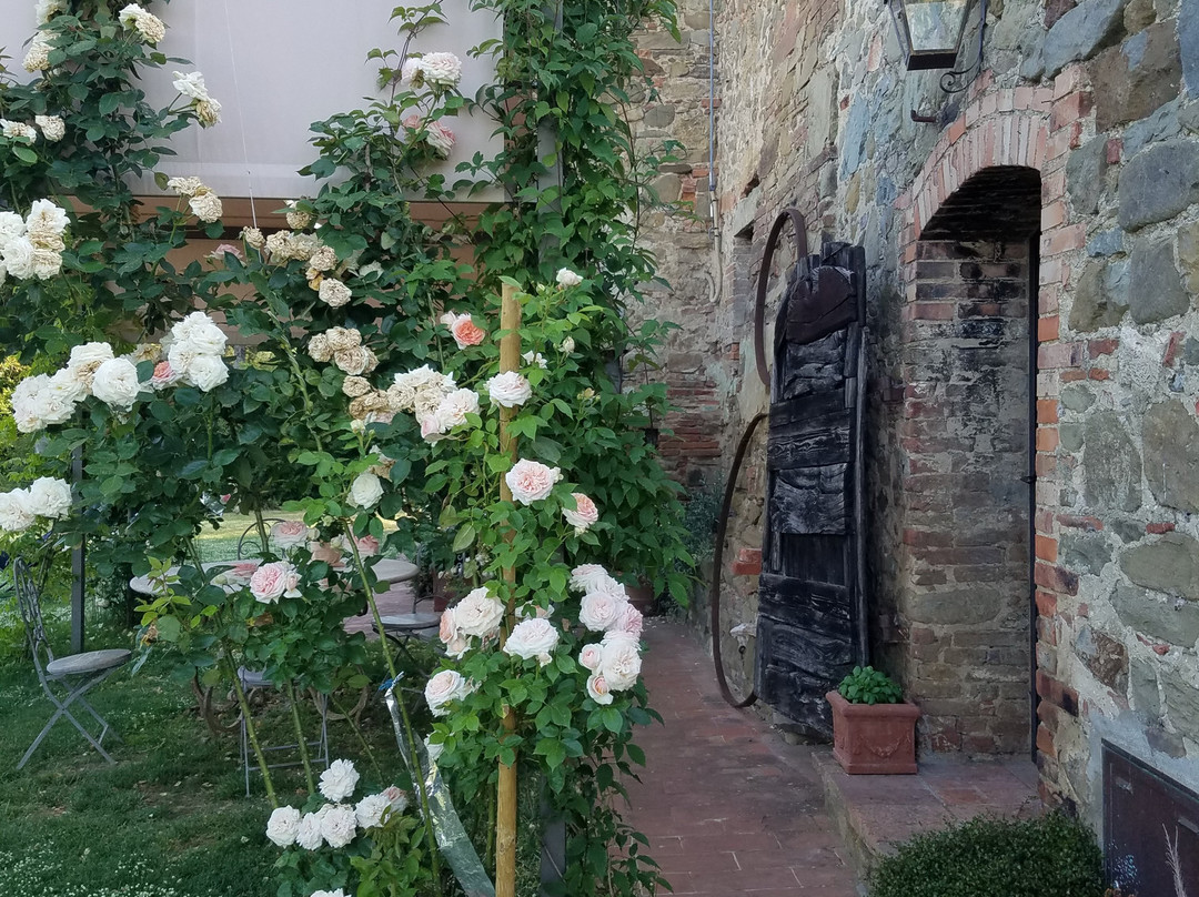 Podere Pievina Delle Corti主图