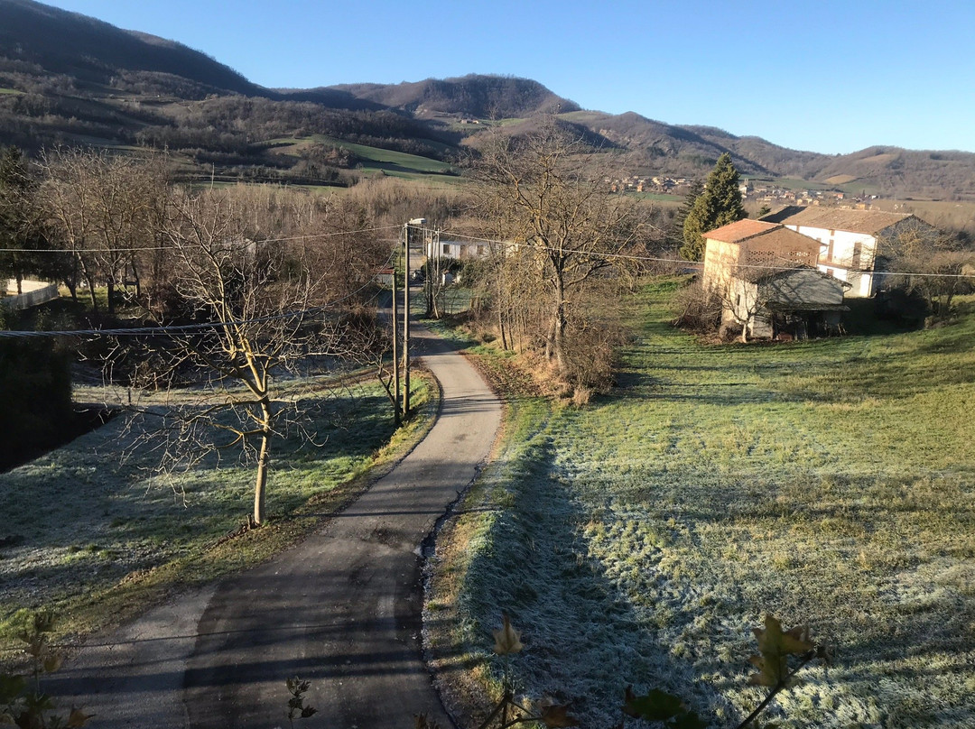 Agriturismo Spizziro主图