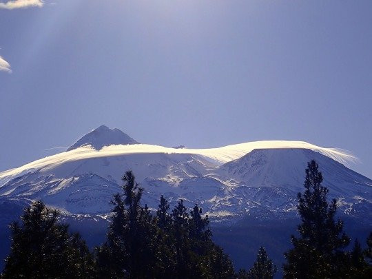 Living Memorial Sculpture Garden-Weed必去景点