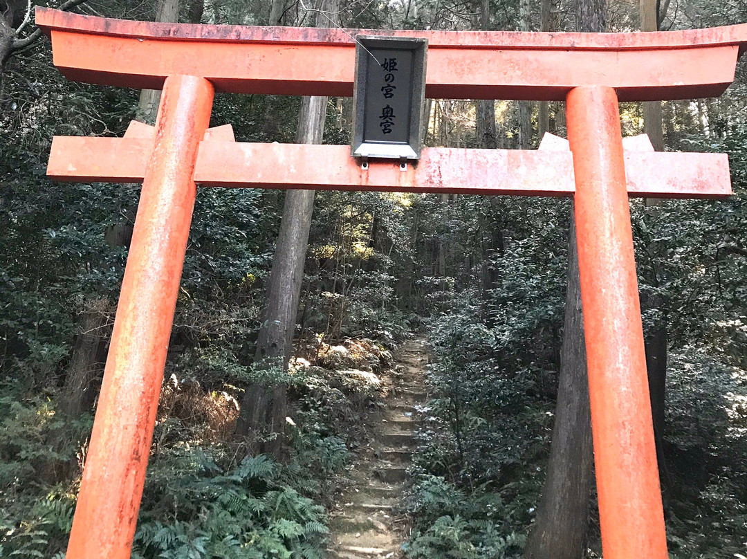 Oagata Shrine-犬山市必去景点