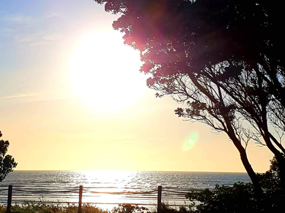 Wrights By The Sea Motel主图