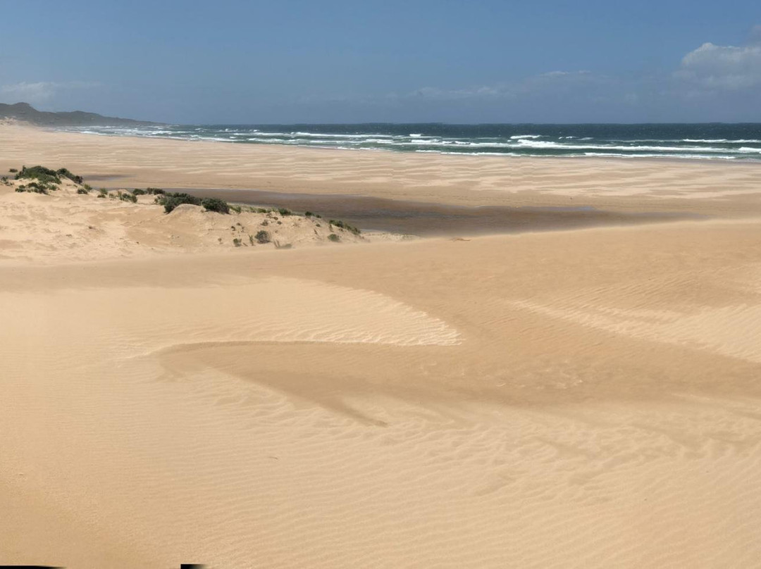 Oyster Bay Lodge主图