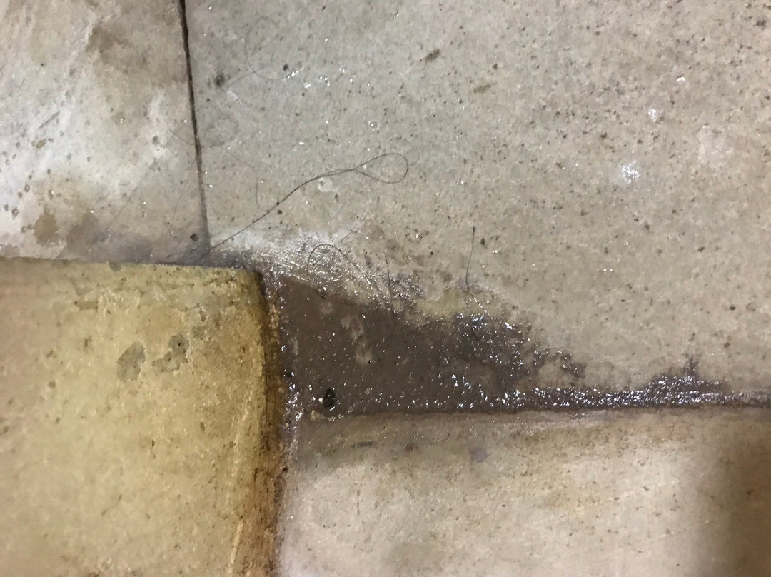 Tanjungan Bukit Lodge主图