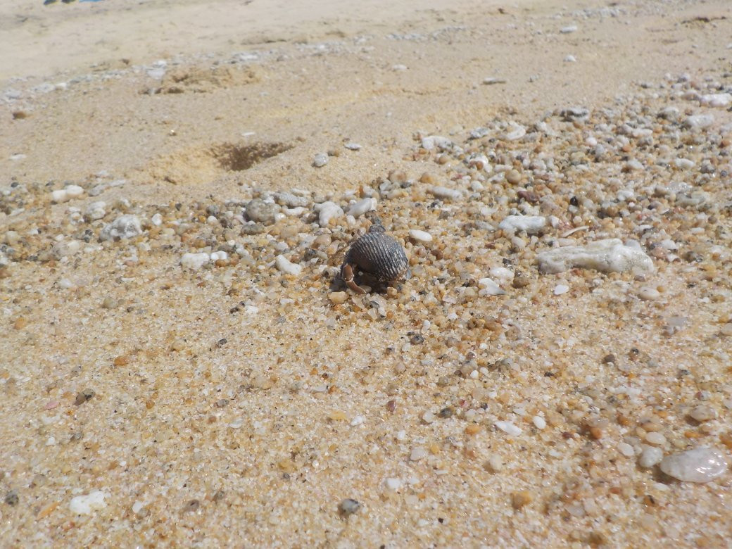 Chachacual-瓦图尔科必去景点