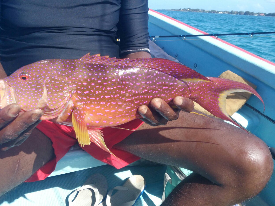 Moniteur Guide de Pêche - Christophe Cessat-卡罗迪勒必去景点