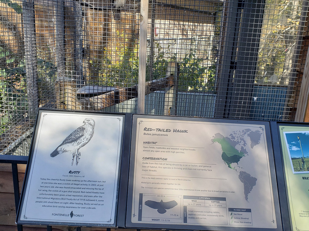 Fontenelle Forest Nature Center-Bellevue必去景点