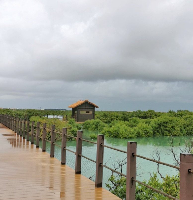 Purple Island - Al Khor Island景点图片