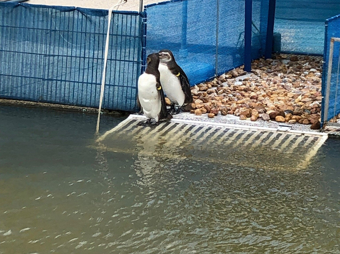 Museu Oceanográfico Eliézer de C. Rios-Rio Grande必去景点