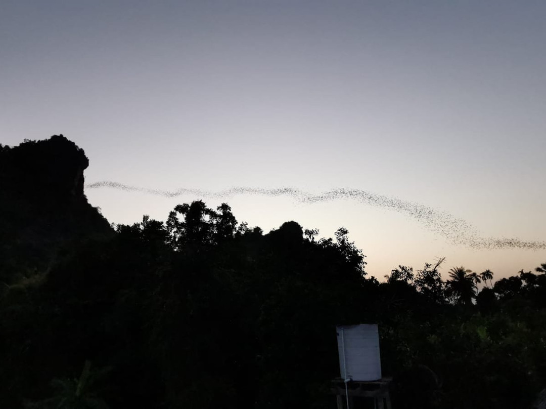 Nayang Bat Cave景点图片