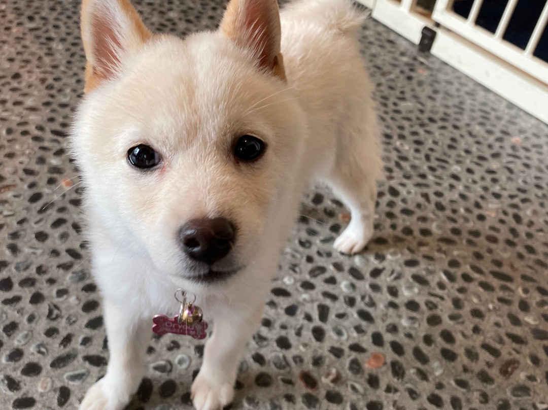 Cafe Ryoma-京都市必去景点