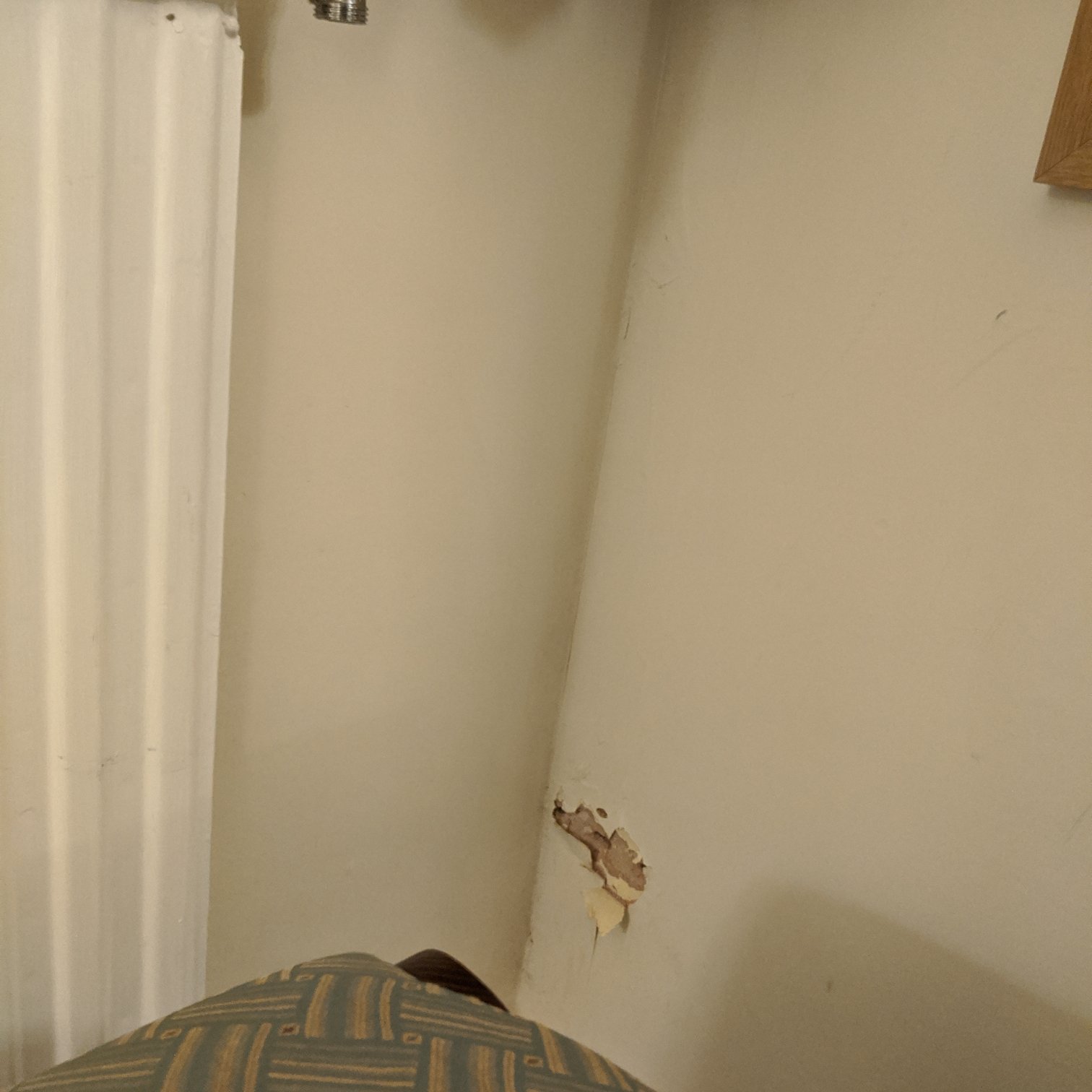 贝斯特韦斯特健康法院酒店-portrait