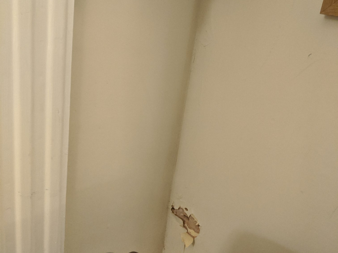 贝斯特韦斯特健康法院酒店主图