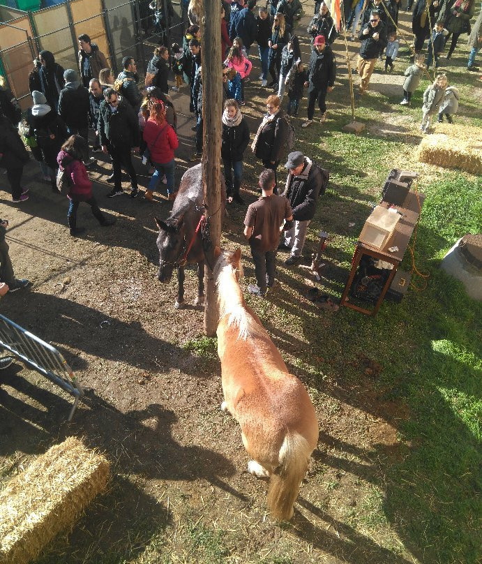 Mercado Medieval-维克必去景点