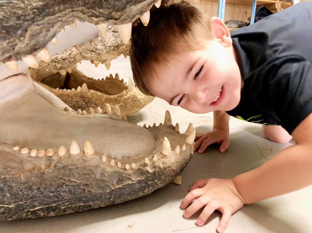 Kliebert & Sons Gator Tours-Ponchatoula必去景点