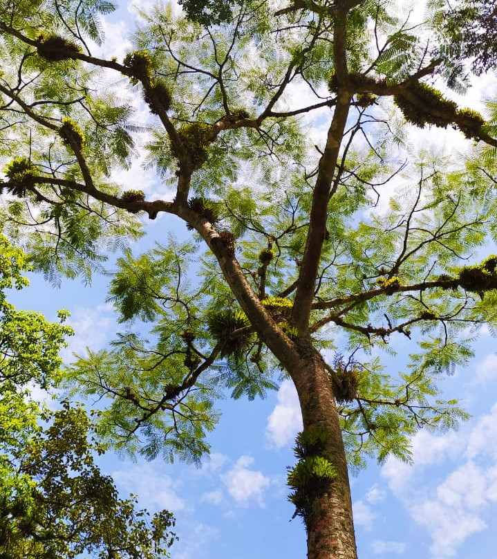 Recanto Nascentes Divinas-Joinville必去景点