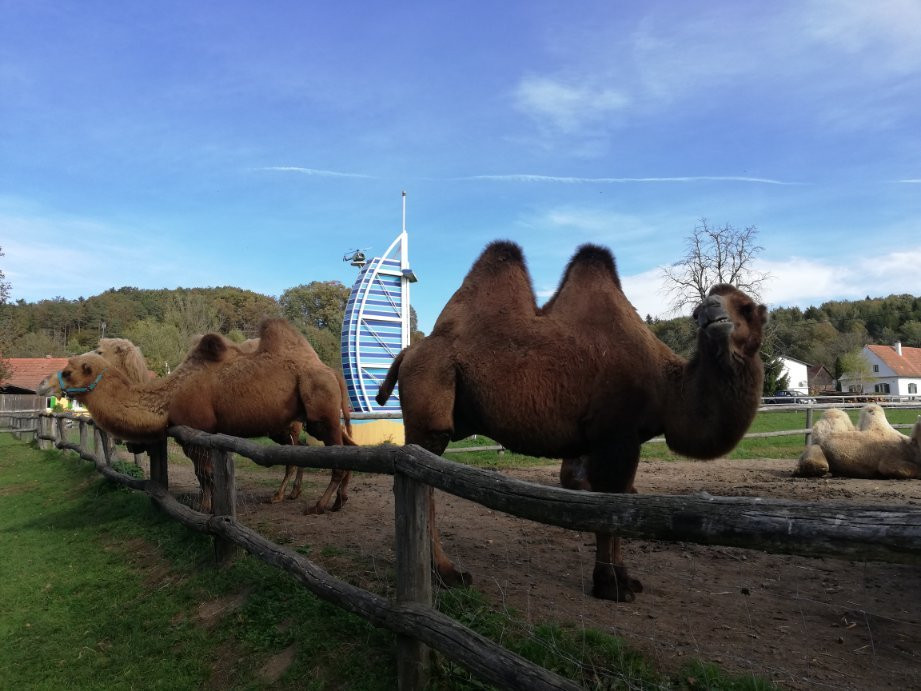 Pechmann's Old Oil Mill-Deutsch Goritz必去景点