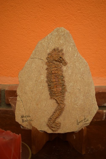 Pousada Sol Da Montanha主图