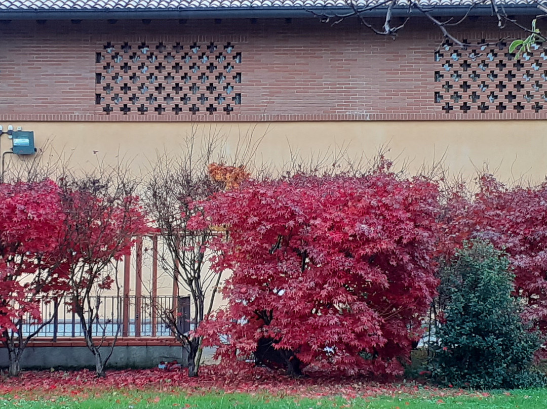 Agriturismo La Camilla主图