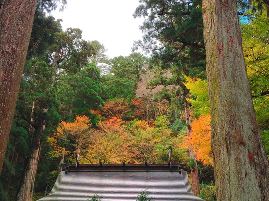 Aotama Shrine-多可町必去景点
