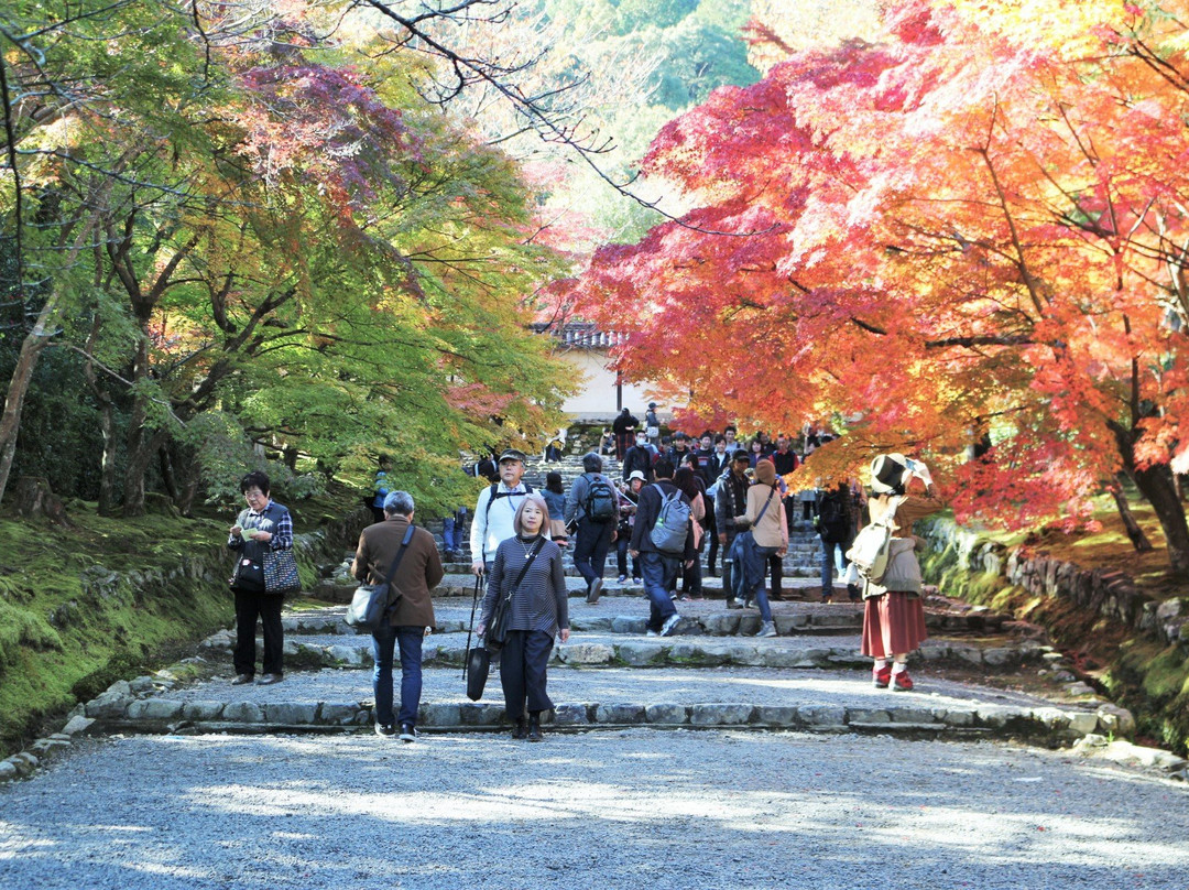 Nison in-长门市必去景点
