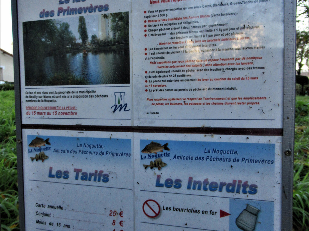 Lac des Primevères景点图片