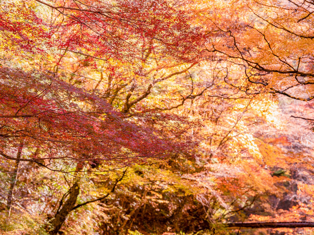 Odamiyama Gorge-内子町必去景点