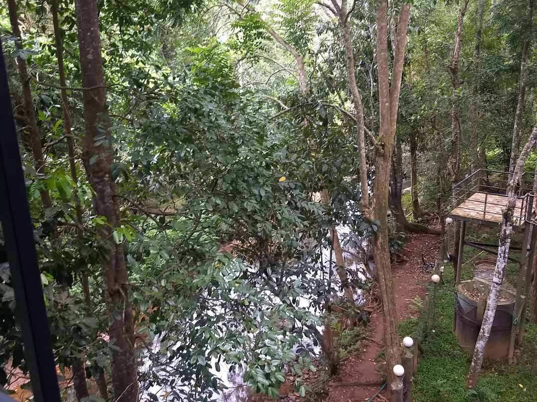 Jungle Beats Resorts主图