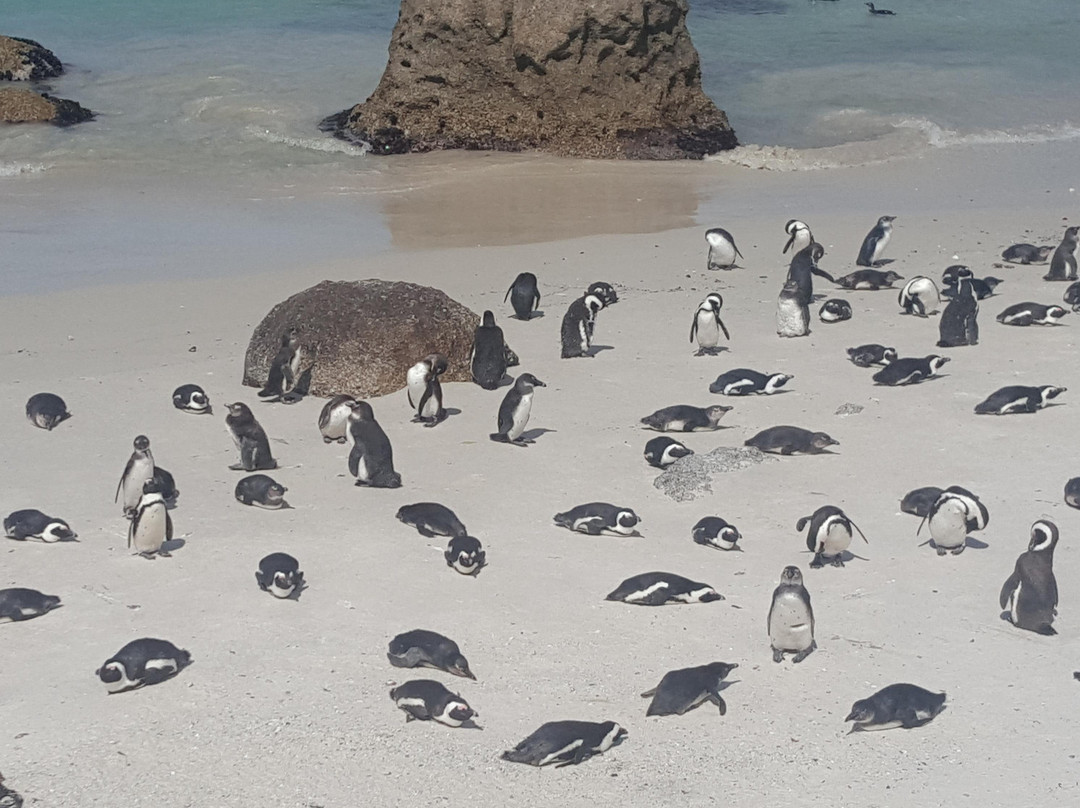 Tsamburu   Africa  travel-开普敦中心区必去景点