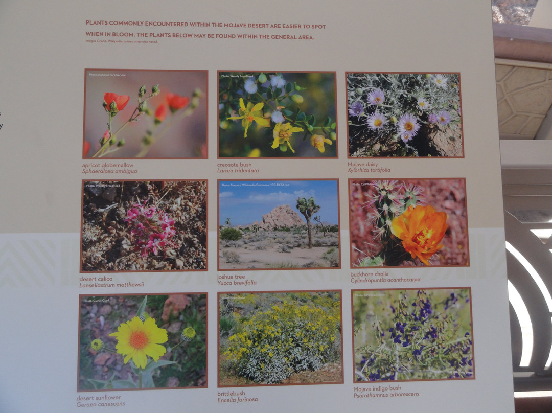 Robert L Mendenhall Scenic Overlook-博尔德城必去景点