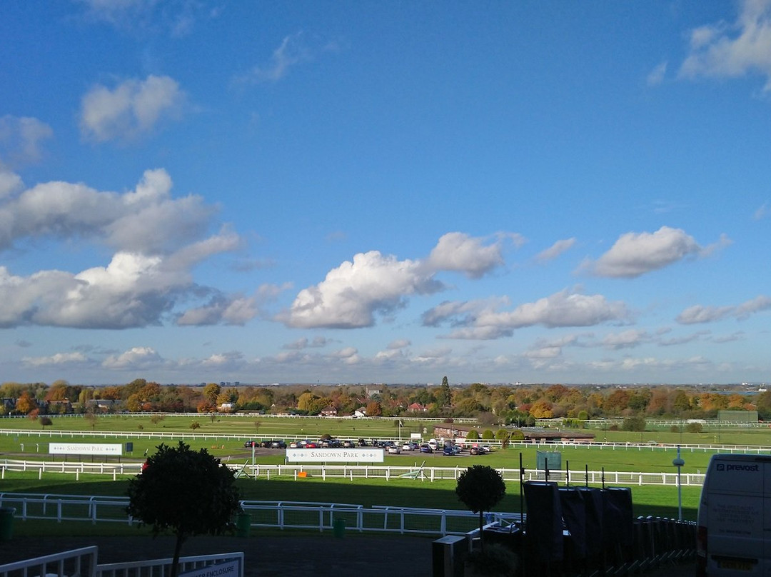 Sandown Park Racecourse景点图片