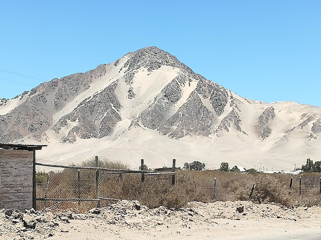 Cerro Bramador-Copiapo必去景点