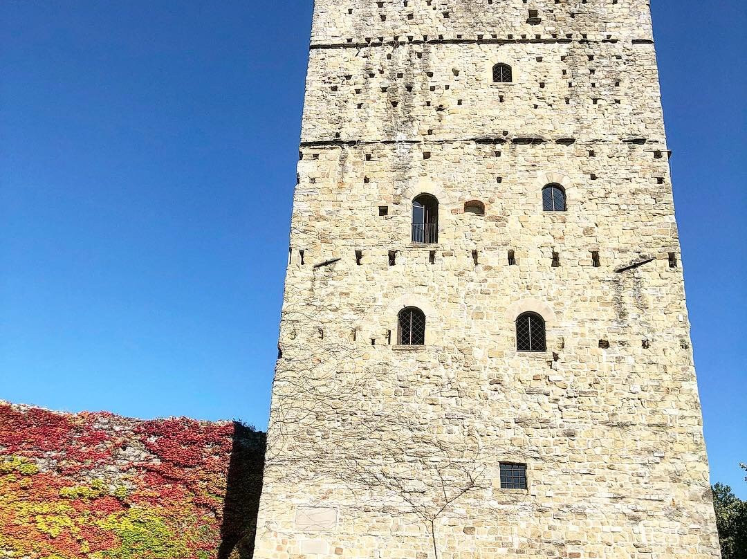 Castello di Porciano景点图片