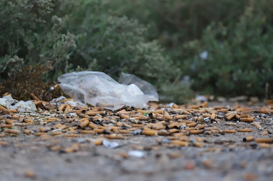 Axios Delta Information Centre-Chalastra必去景点