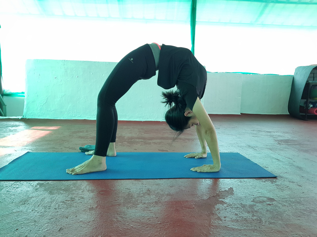 Praana Yoga Studio景点图片