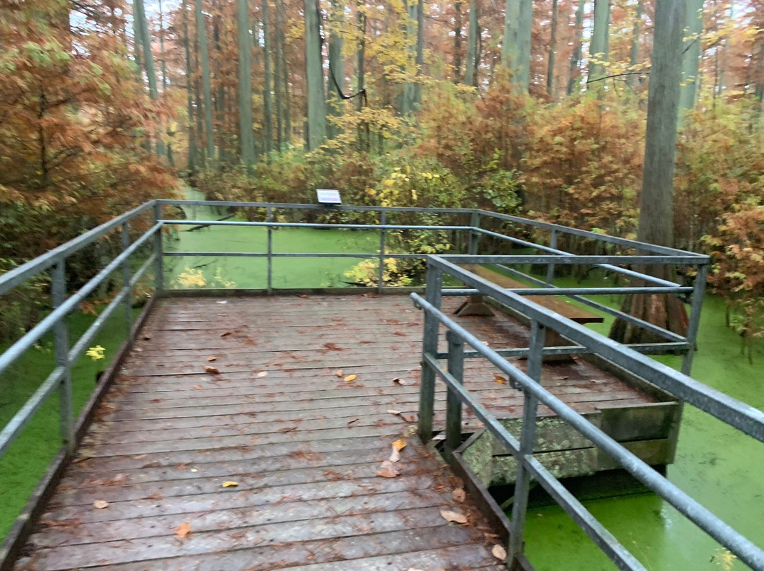 Heron Pond Preserve-Belknap必去景点