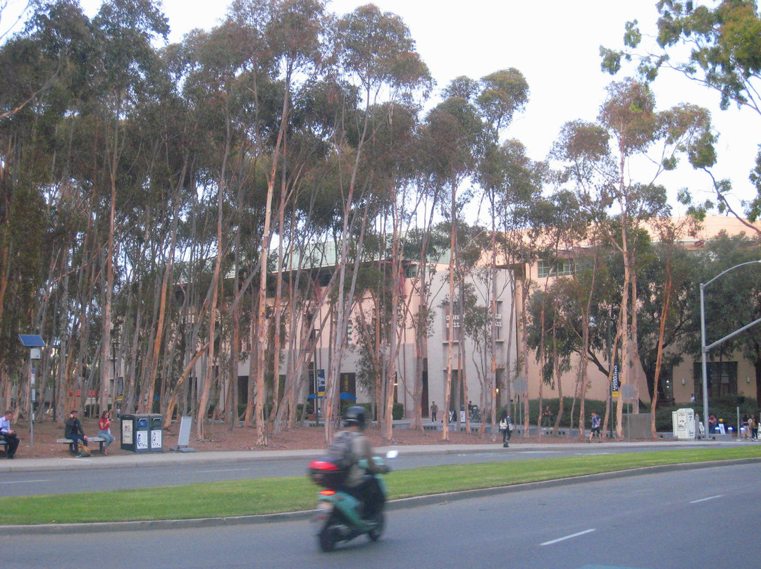 加州大学圣地亚哥分校-拉荷亚必去景点