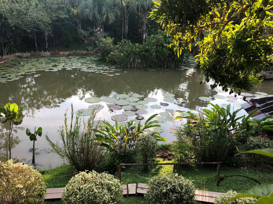 Fundo Pedrito景点图片