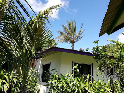 Isla Verde Hotel主图