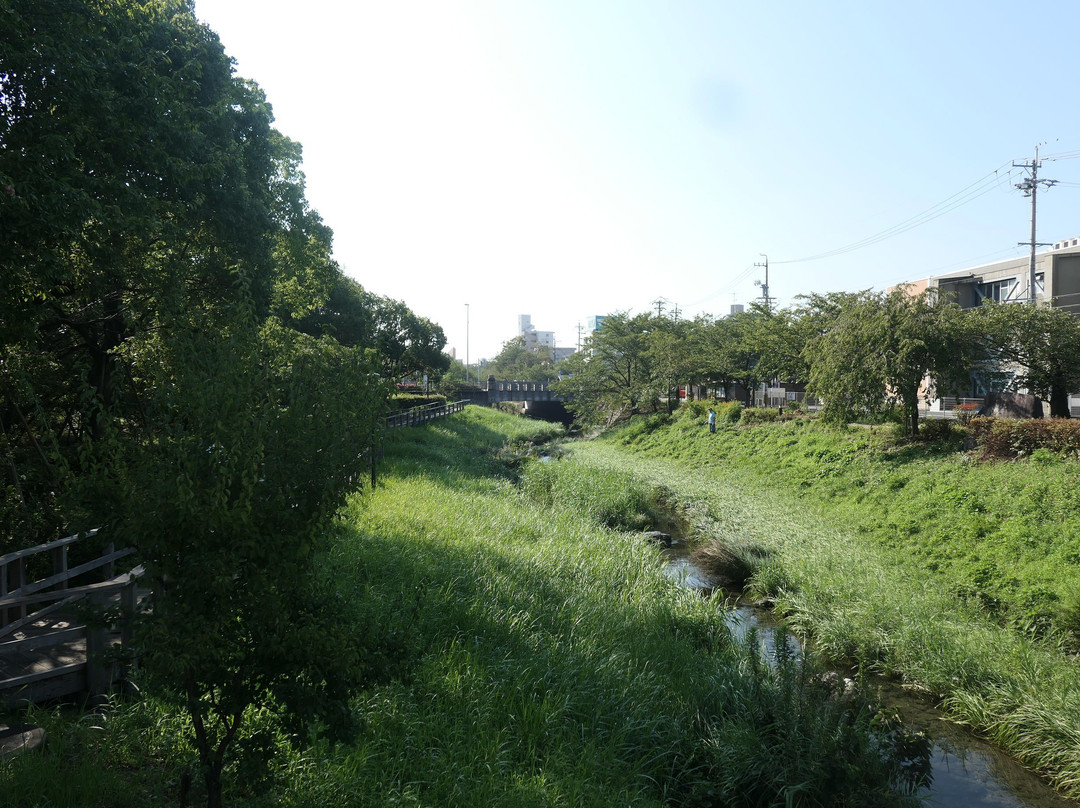 Shimizu Ryokuchi-岐阜市必去景点