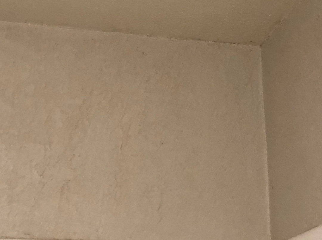 La Quinta Inn & Suites by Wyndham Buena Park主图