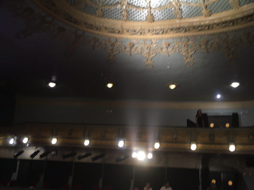 Gran Teatro de Elche景点图片