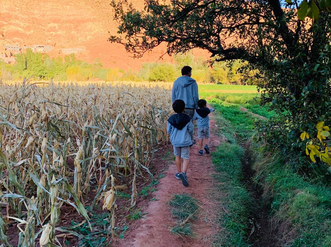 Kasbah Tigmi N'Oufella主图