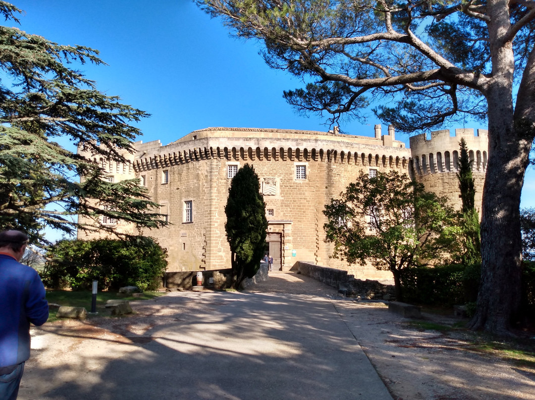 Chateau de Suze-la-Rousse景点图片