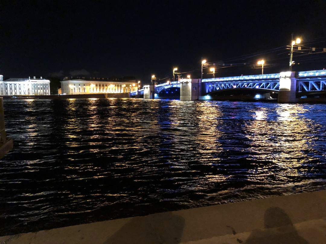 Midnight St Petersburg Cruise: Drawbridges and Canals-圣彼得堡必去景点