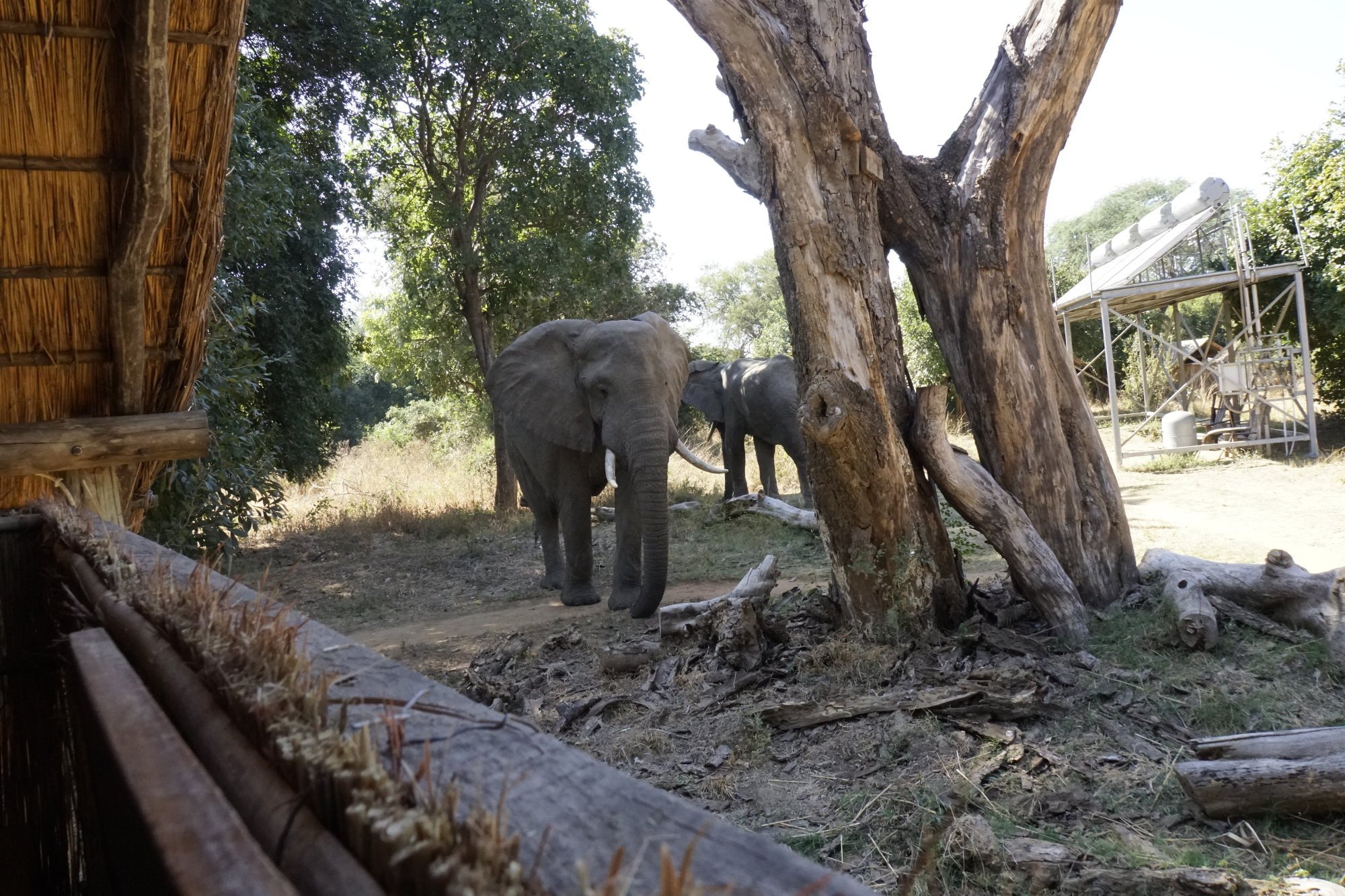 夫拉特多格斯露营旅馆-酒店景观