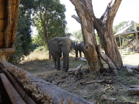 夫拉特多格斯露营旅馆主图