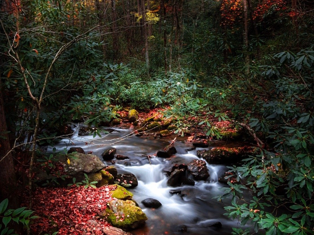 WNC Photo Tours景点图片