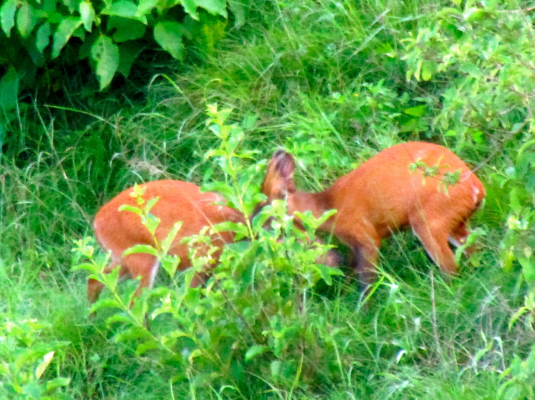 马辛德拉康达哈特俱乐部酒店主图