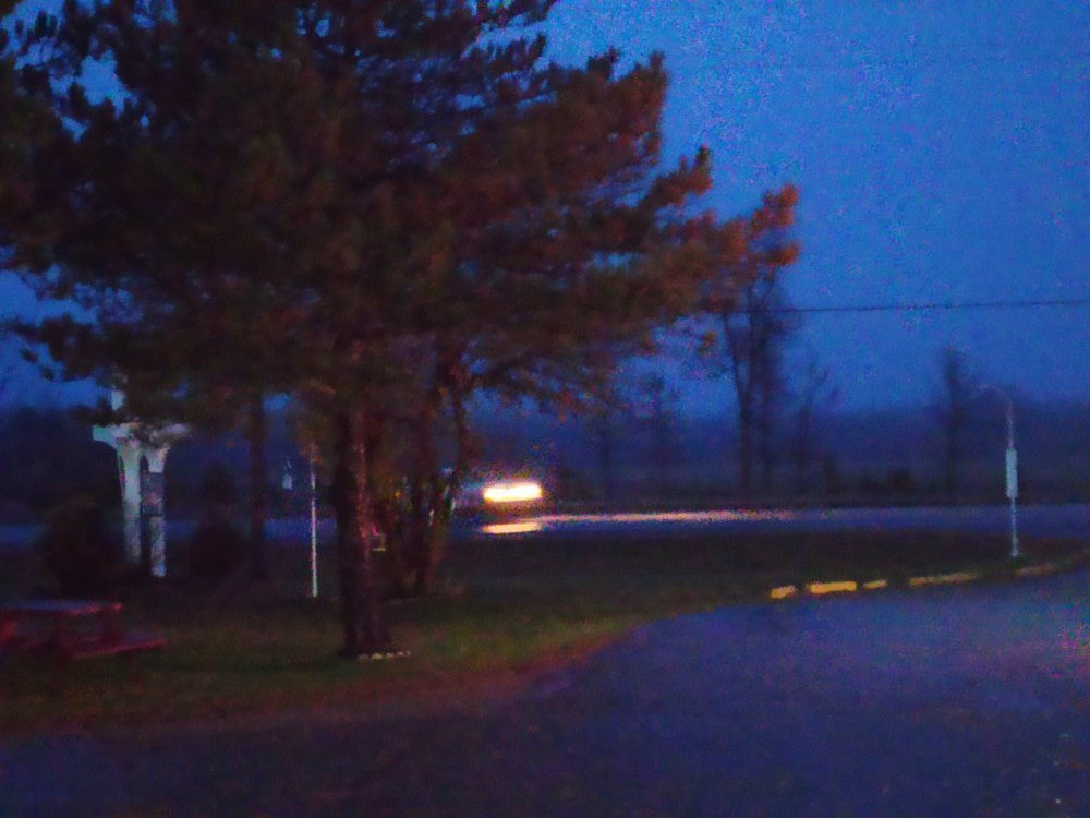 Blue Jay Motel主图