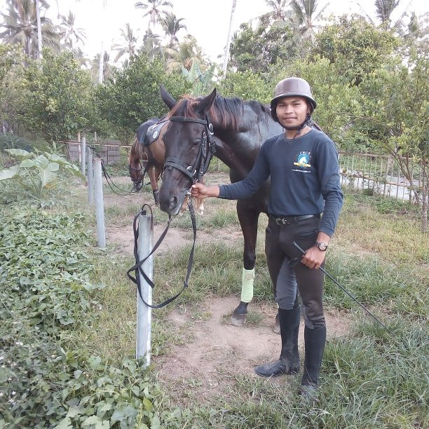 Ubud Horse Stables-德格拉朗必去景点
